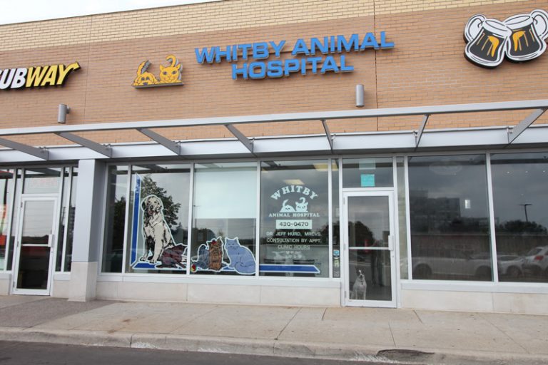 About Us Whitby Animal Hospital
